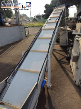 Inclined conveyor belt with talisca