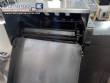Industrial fryer continuous system for snack foods MCI