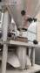 Vertical dosing packaging machine for powdered products Fabrima Flexibag retrofit