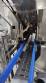 Line for brine filling manual product insertion and automatic capping