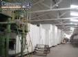 Industrial line for production of long pasta noodle spaghetti Braibanti