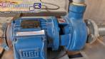 Incalfer double stage continuous stainless steel vegetable washer