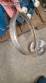 Castinox sanitary centrifugal pump with WEG 2 HP motor
