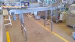 Conveyor mat 260 x 2000 mm total stainless steel