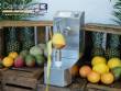 Automatic peeler for pineapple, mango and melon, 250 units per minute Astra