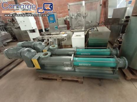 Nemo Netzsch helical positive pumps