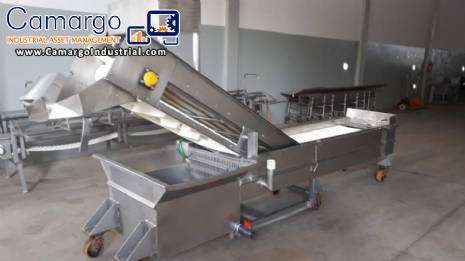 Stainless steel fish/seafood glazing machine Brusinox 1500 kg/h