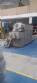 Stainless steel soap mass extruder 650 kg Mazbra