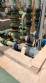 Industrial complex plant with infrastructure for food industries