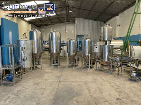 Production line for microbrewery, 600 to 750 liters of craft beer.