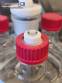 Borosilicate glass reactor 36 L 50 L