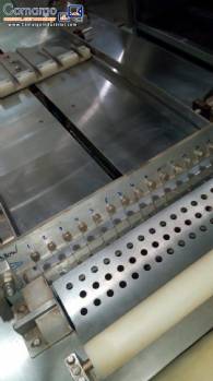 Line for manufacturing wafer Haas