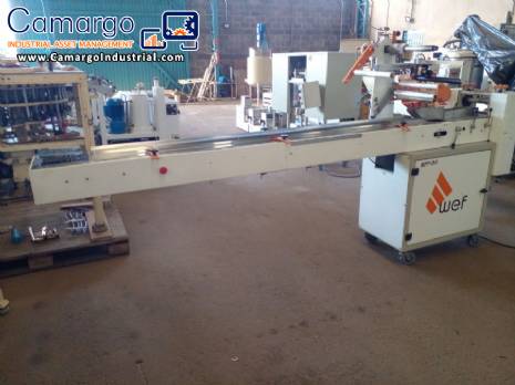 WEF M�quinas Stainless Steel Flow Pack Packer