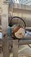 Rotary tube drum and stainless steel screw conveyor mixer for feed