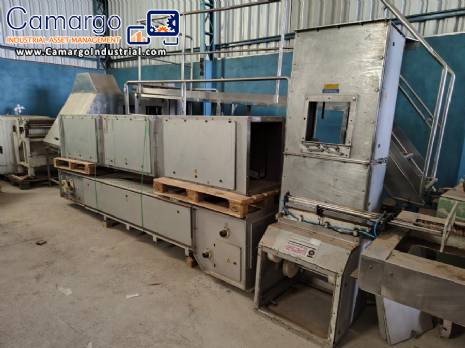 WIESE Z-shaped bucket elevator conveyor