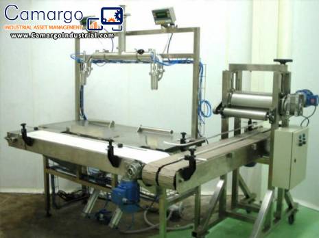 Liquid and viscous products packaging machine