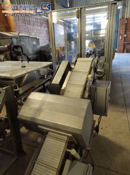 Brapenta metal detector