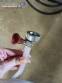 Stainless steel filling machine for beer liquids in Brabeer bottles